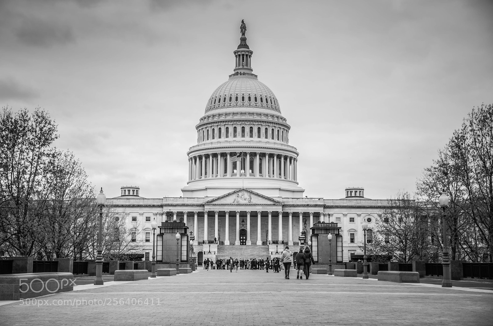 Nikon D7000 sample photo. Washington dc capitol building photography