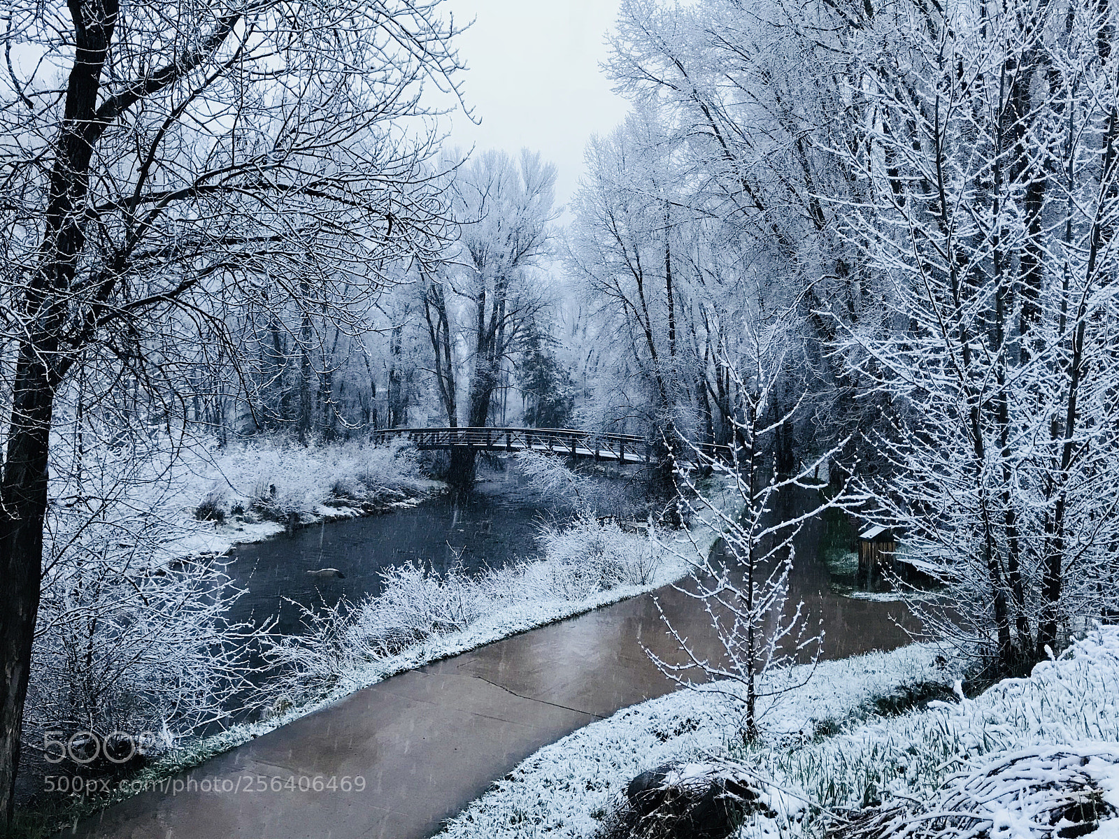 Apple iPhone 7 sample photo. Aspen, co 0626 am photography