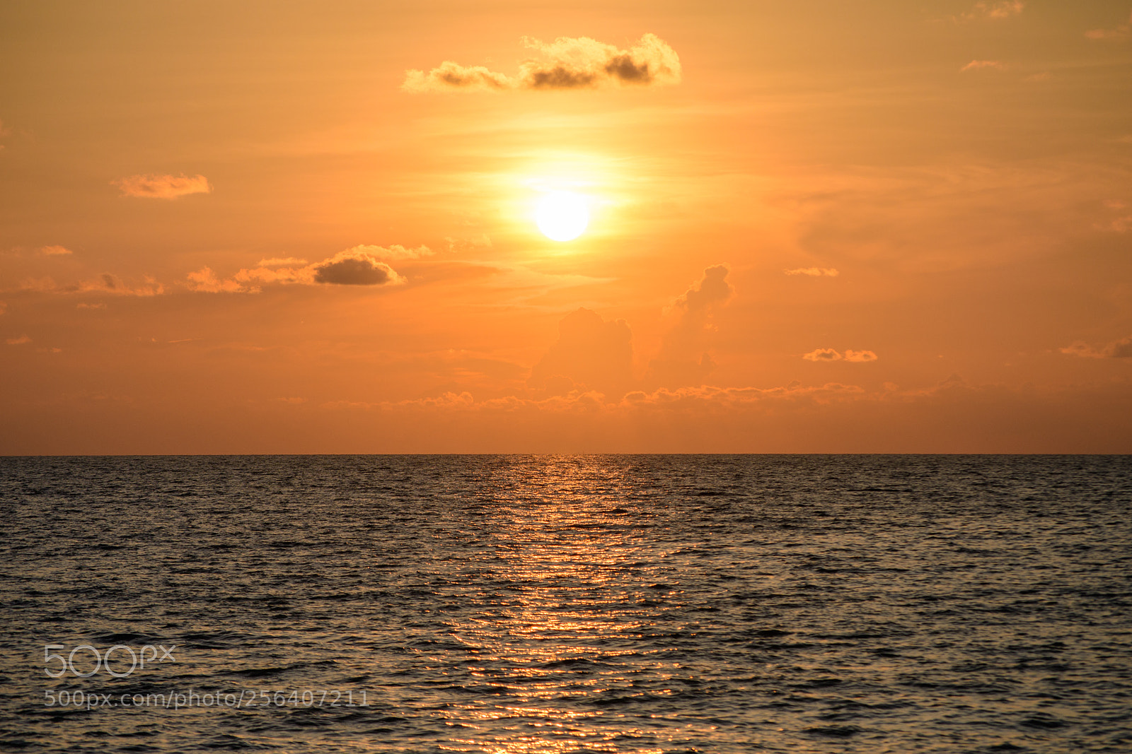 Nikon D500 sample photo. Phuket thailand photography