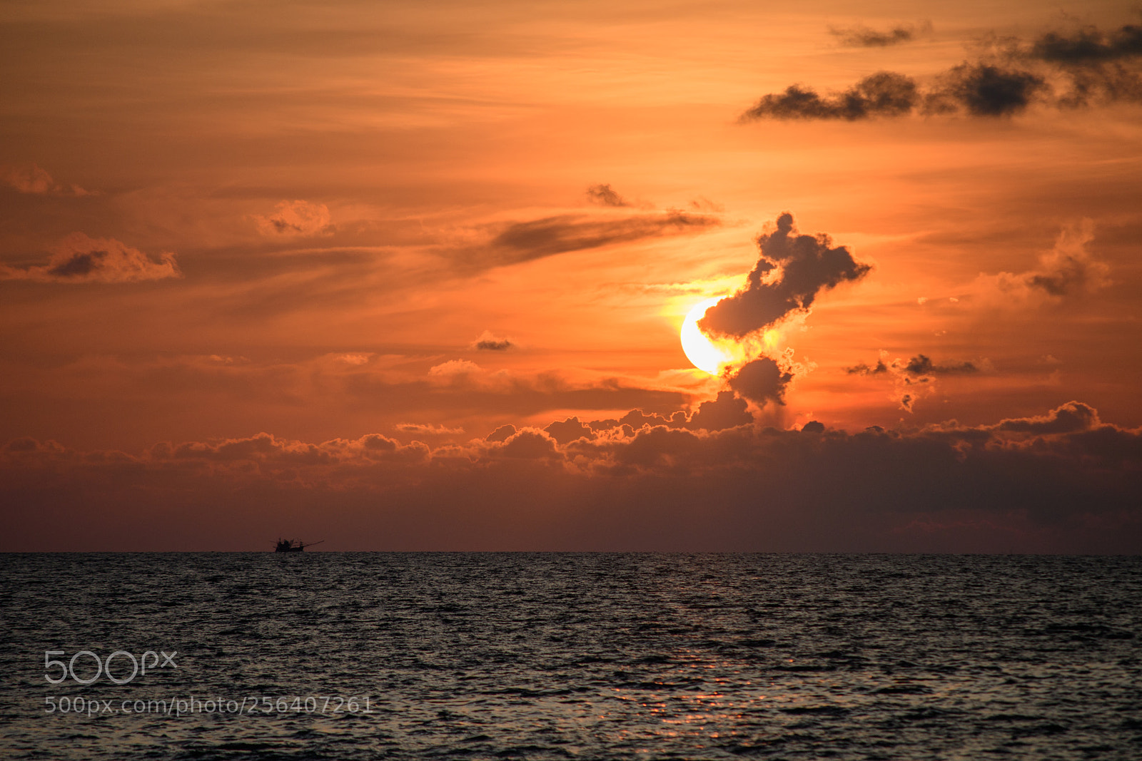Nikon D500 sample photo. Phuket thailand photography