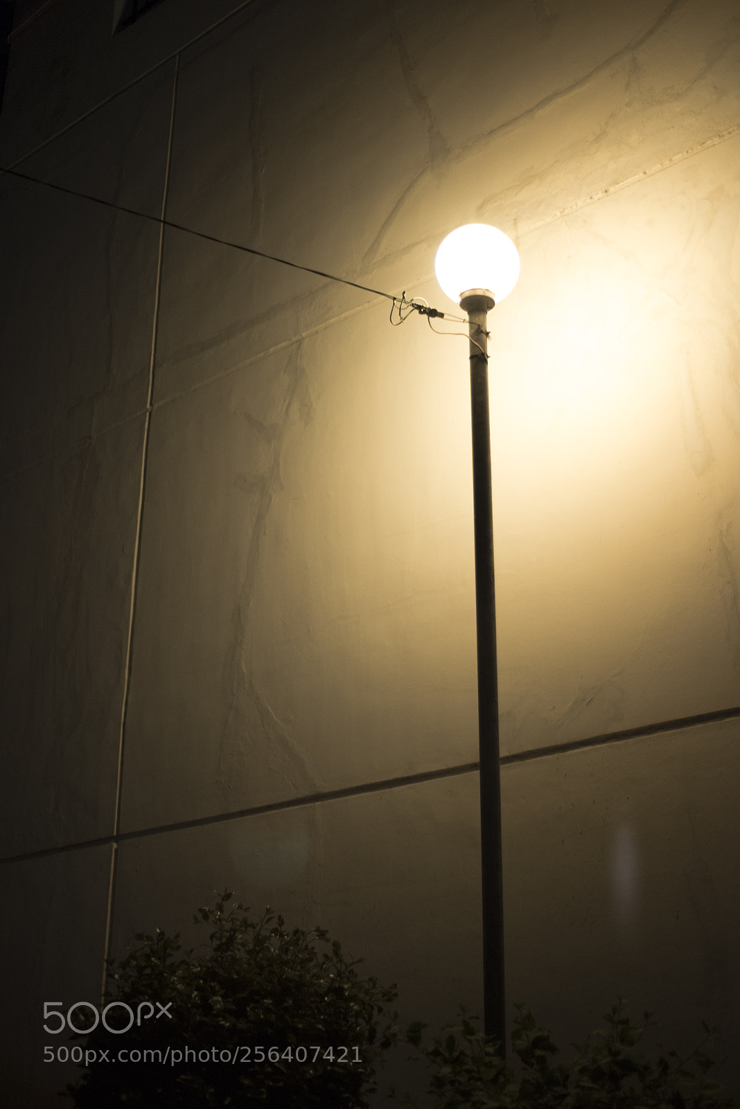 Nikon D810 sample photo. In a night  no.9 photography