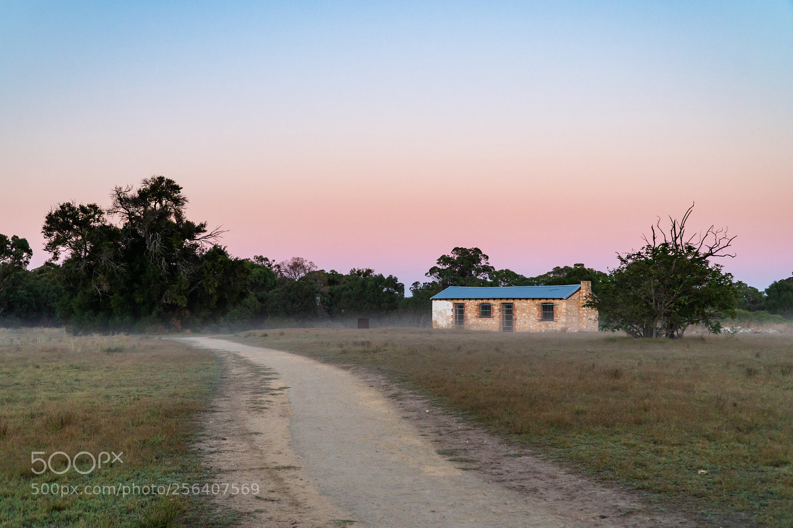 Sony a6300 sample photo. Perry's paddock photography