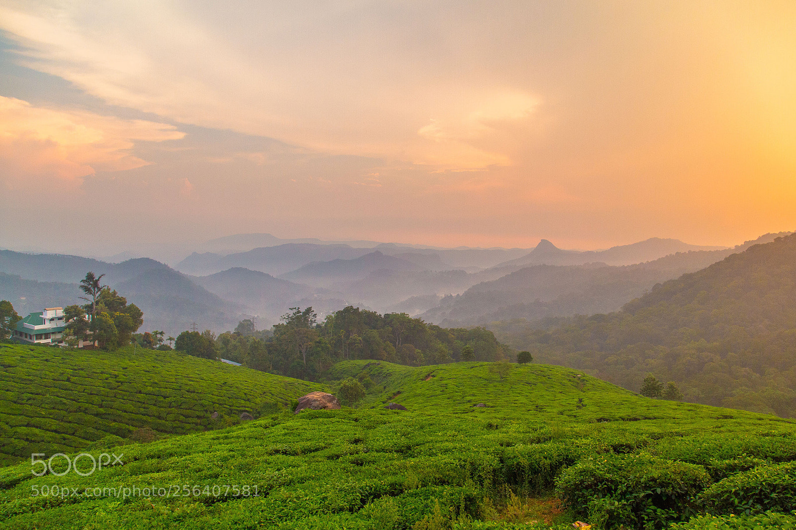 Canon EOS 6D sample photo. Sunset at munnar photography