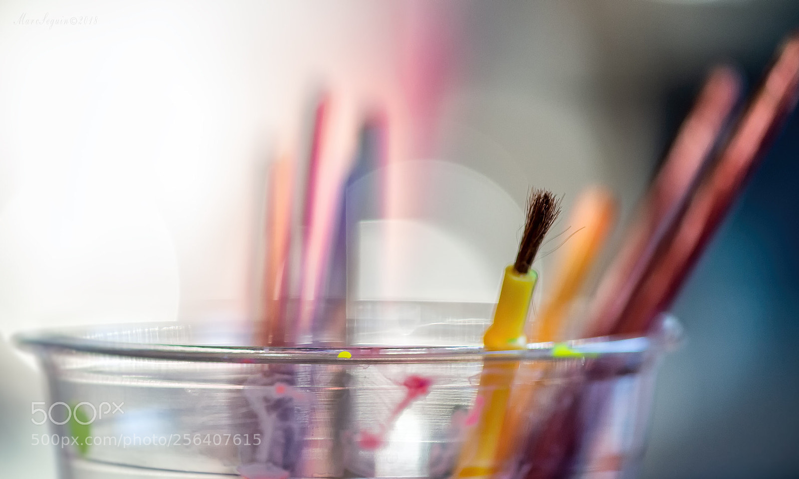 Nikon D800 sample photo. Arting time photography