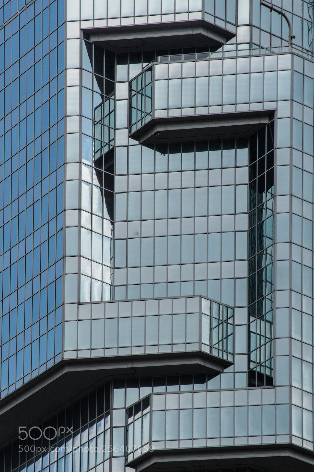 Nikon D500 sample photo. Hong kong photography