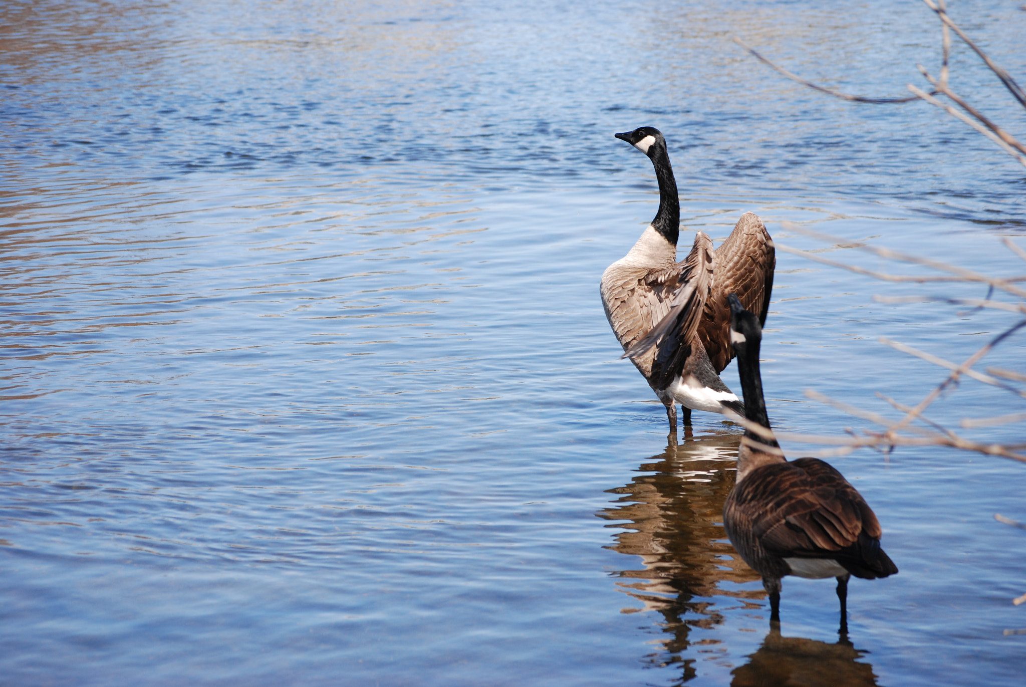 Nikon D80 sample photo. Beautiful day photography