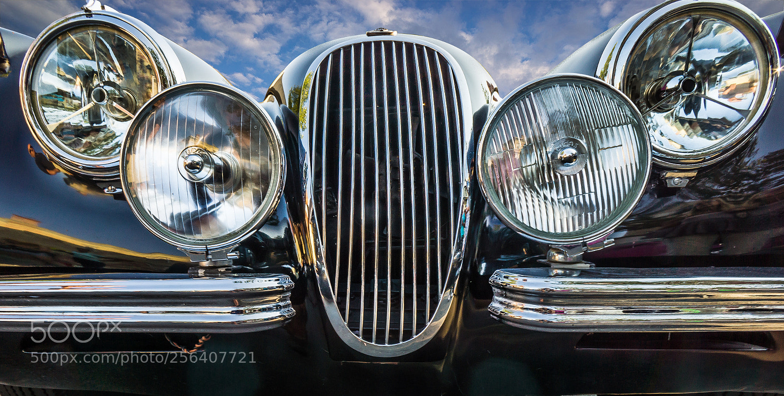 Sony Alpha NEX-7 sample photo. Bugeye-4 photography