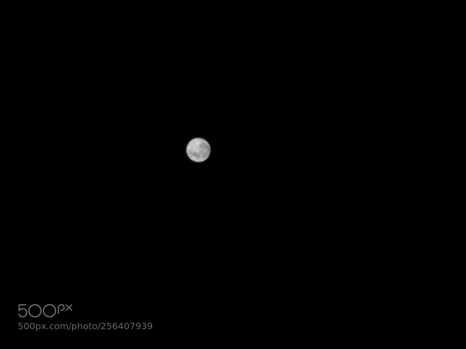 HUAWEI P10 sample photo. Untitled photography