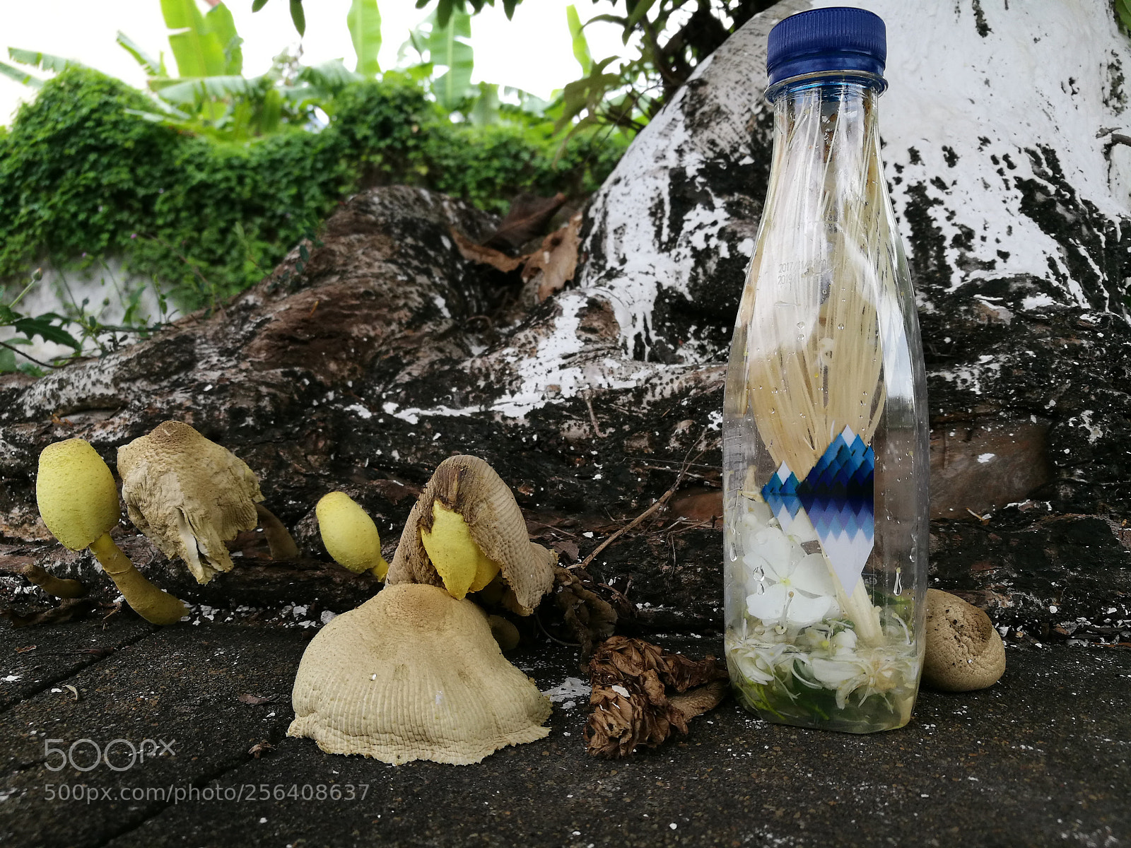 HUAWEI P9 sample photo. From 大块 photography
