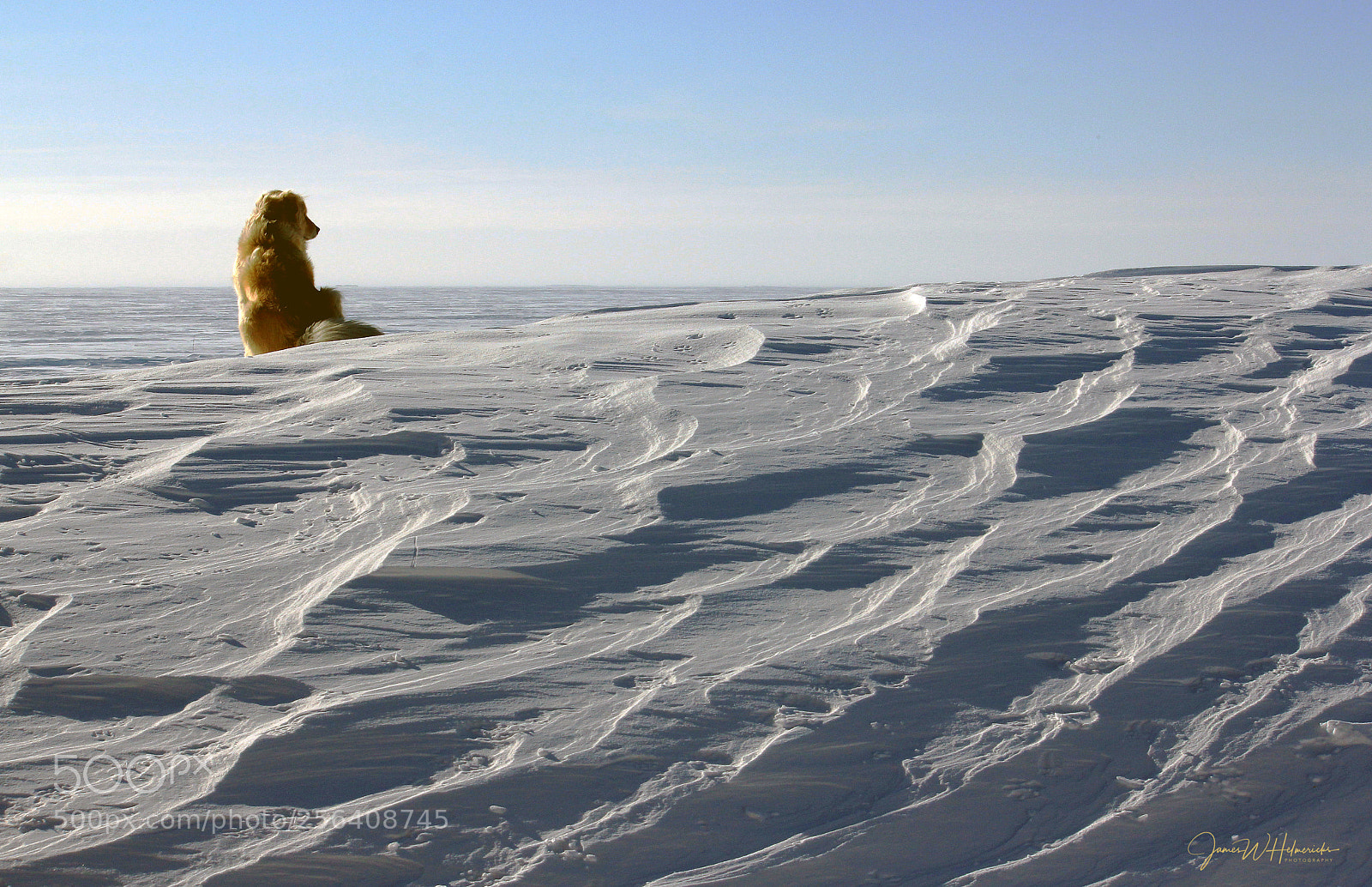 Canon EOS 550D (EOS Rebel T2i / EOS Kiss X4) sample photo. Sastrugi "carved snowdrifts" photography