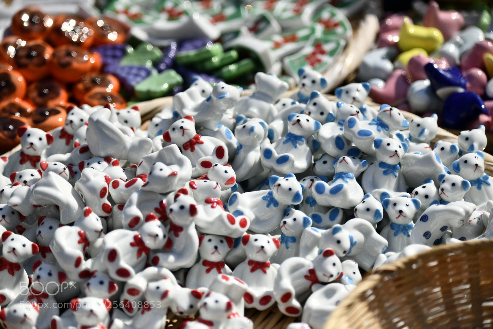 Nikon D850 sample photo. Untitled photography