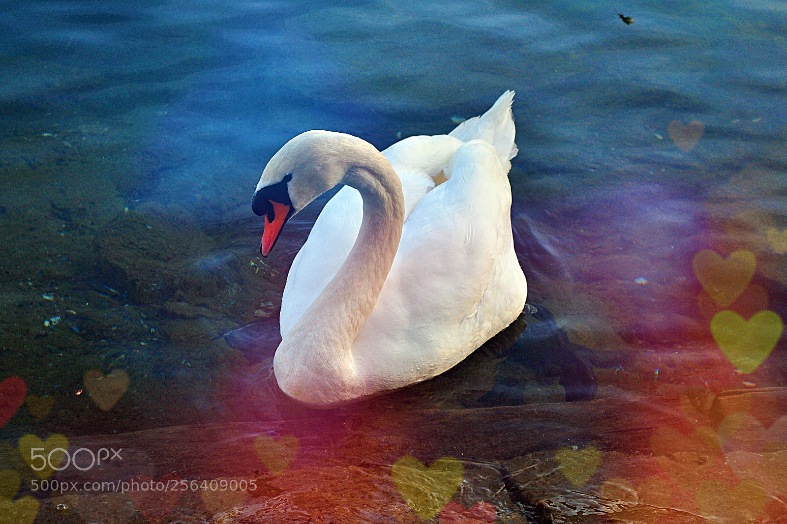 Nikon D3000 sample photo. Aguilar photography
