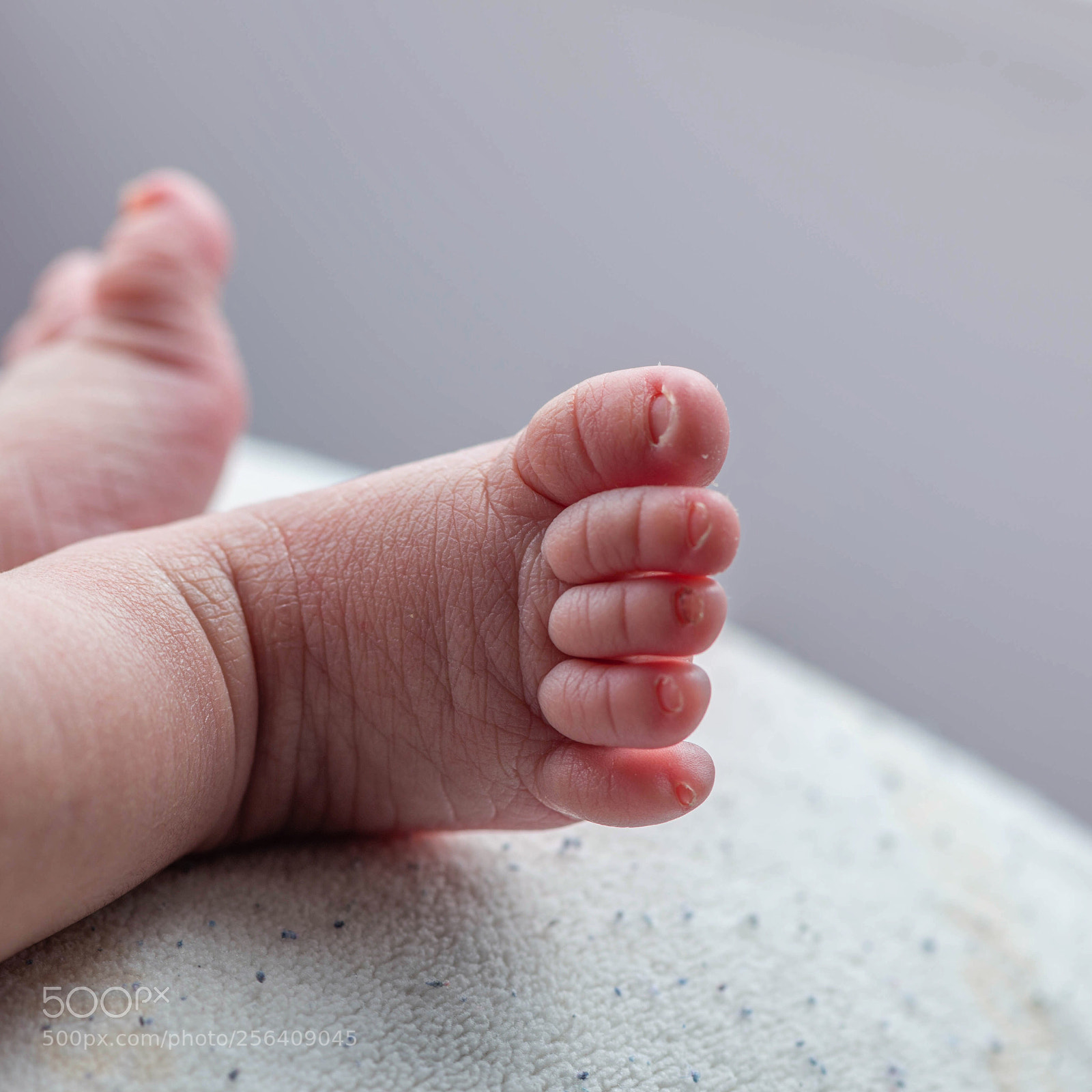 Nikon D610 sample photo. Evangelist miracle photography