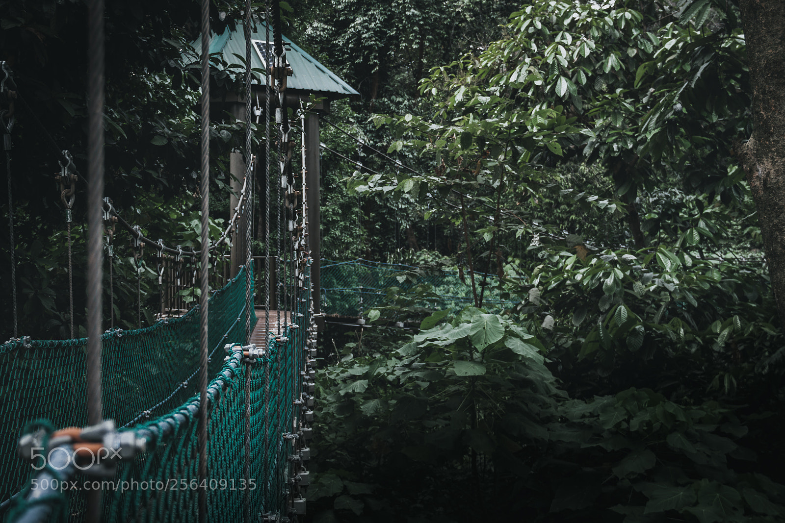 Canon EOS 50D sample photo. Tranquility in nature. photography