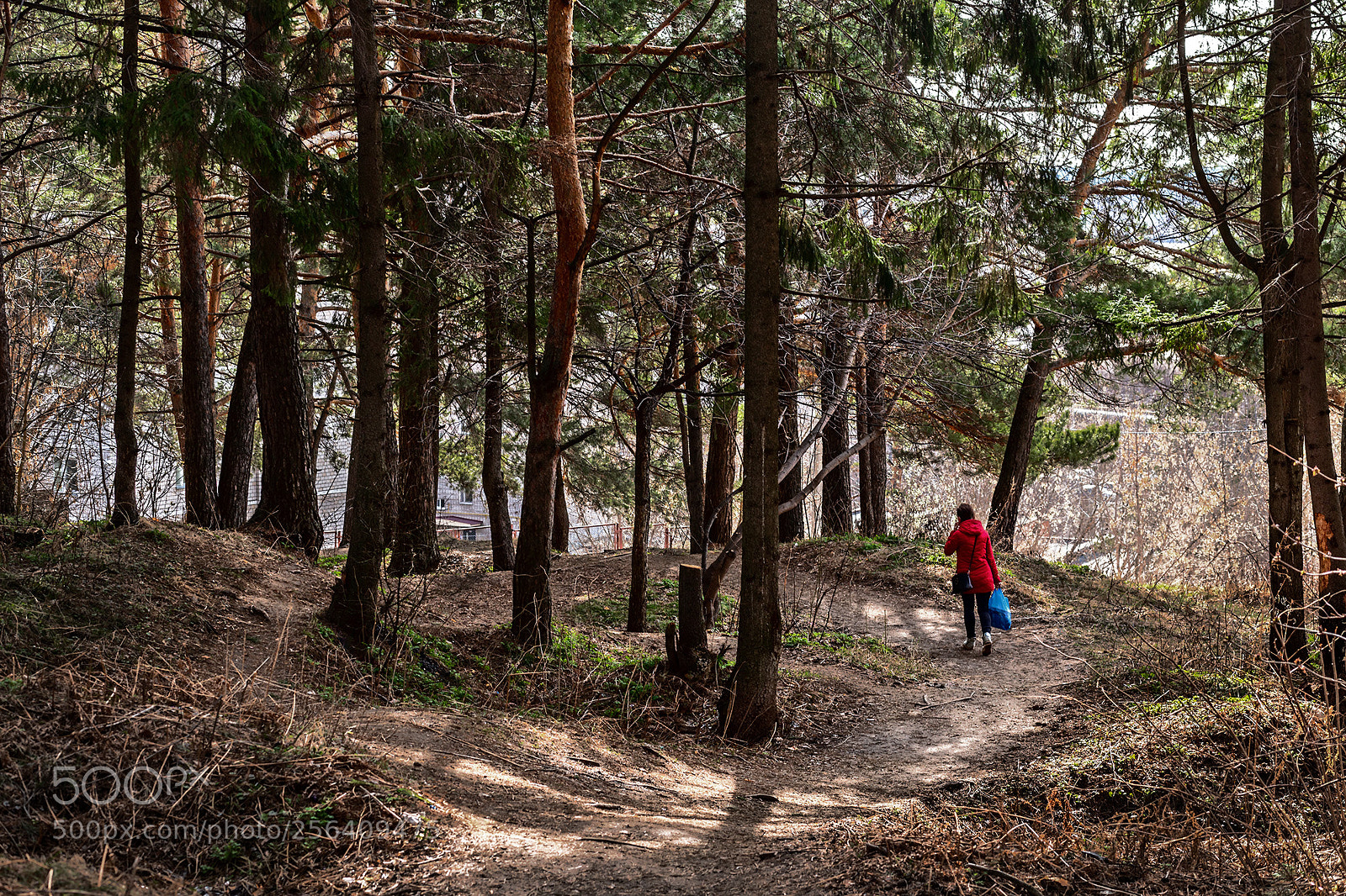 Canon EOS 6D sample photo. Карлутский лес photography