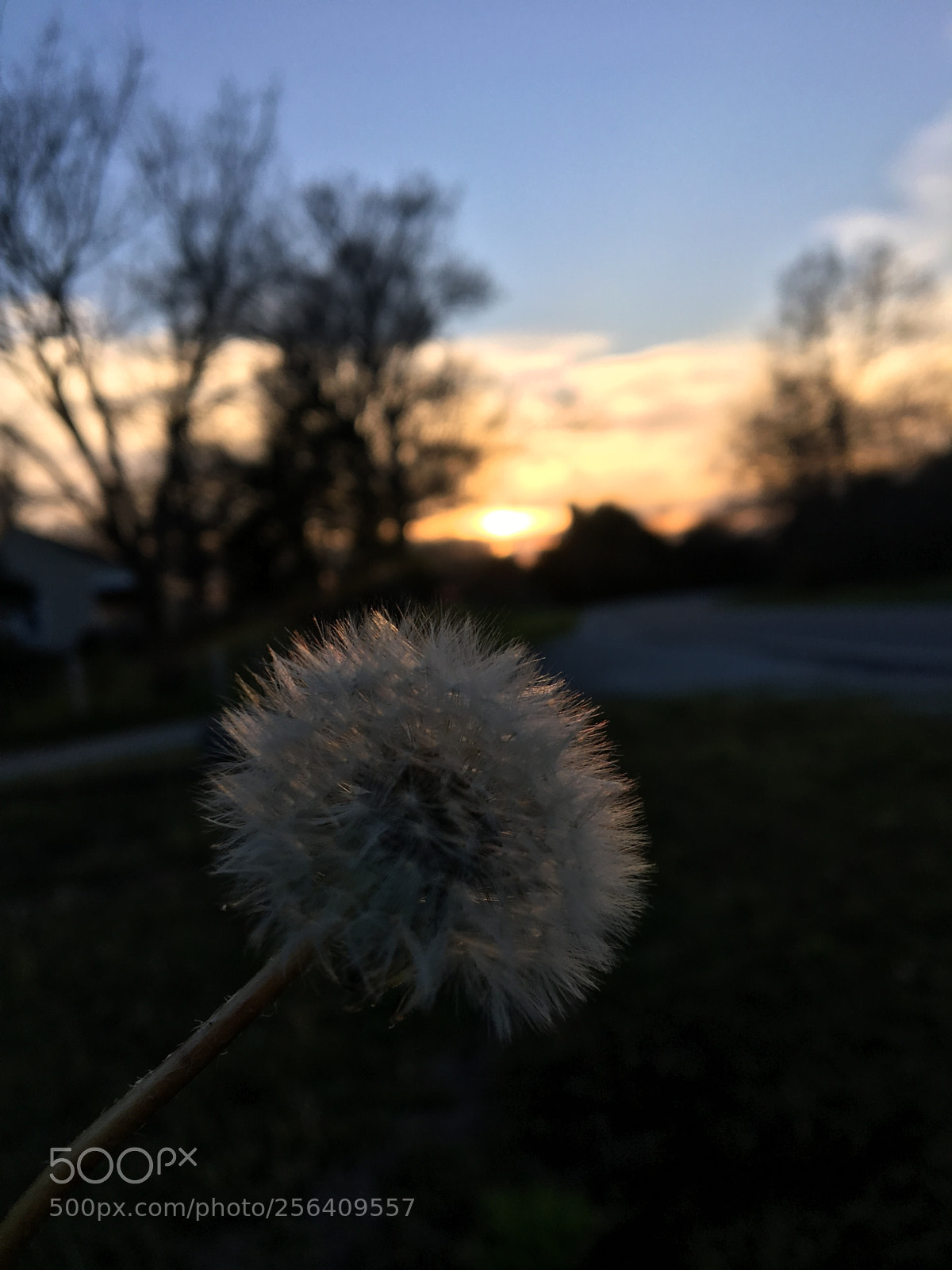 Apple iPhone 6s sample photo. Sunsets and wishes photography