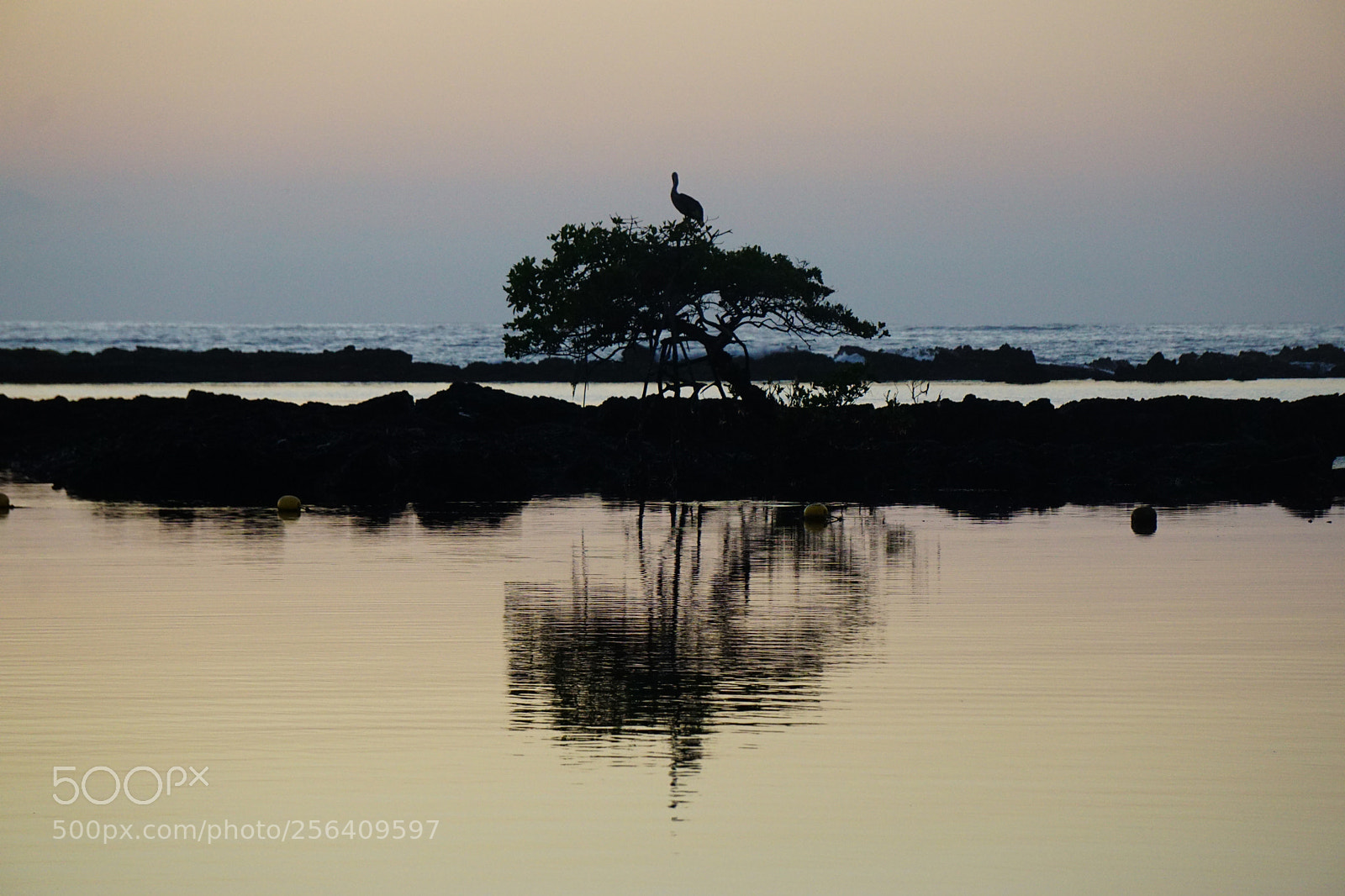 Sony a6000 sample photo. Sunrise at the paradise photography