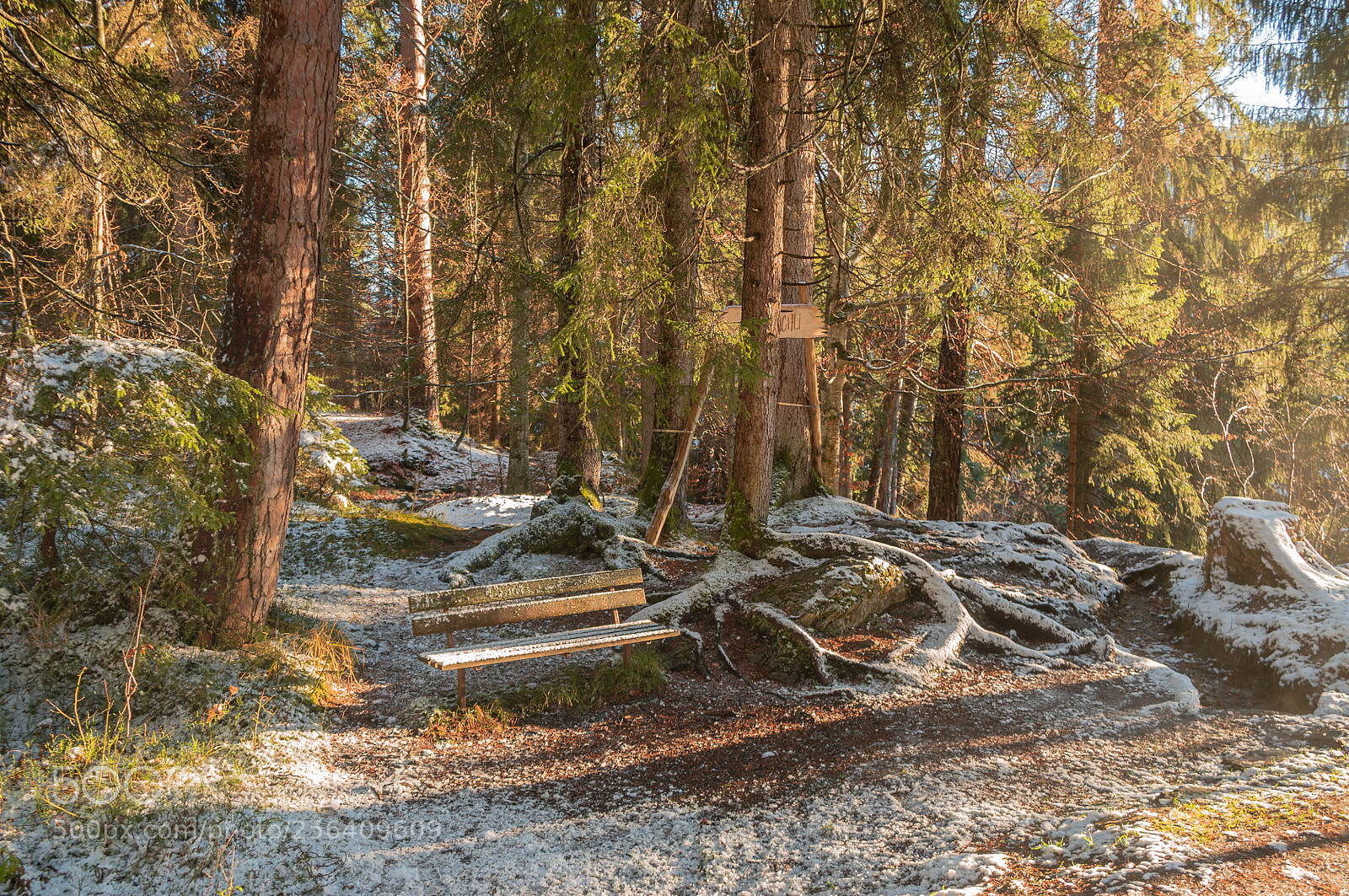 Sony a7S sample photo. Caumasee flims in switzerland photography