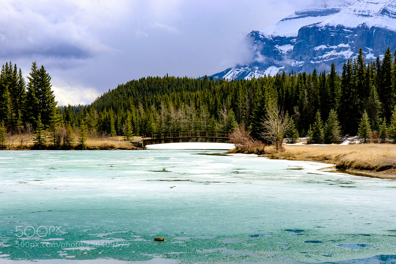 Canon EOS 800D (EOS Rebel T7i / EOS Kiss X9i) sample photo. Banff, alberta photography