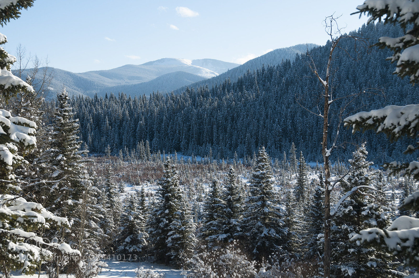 Nikon D300 sample photo. Mountainous photography