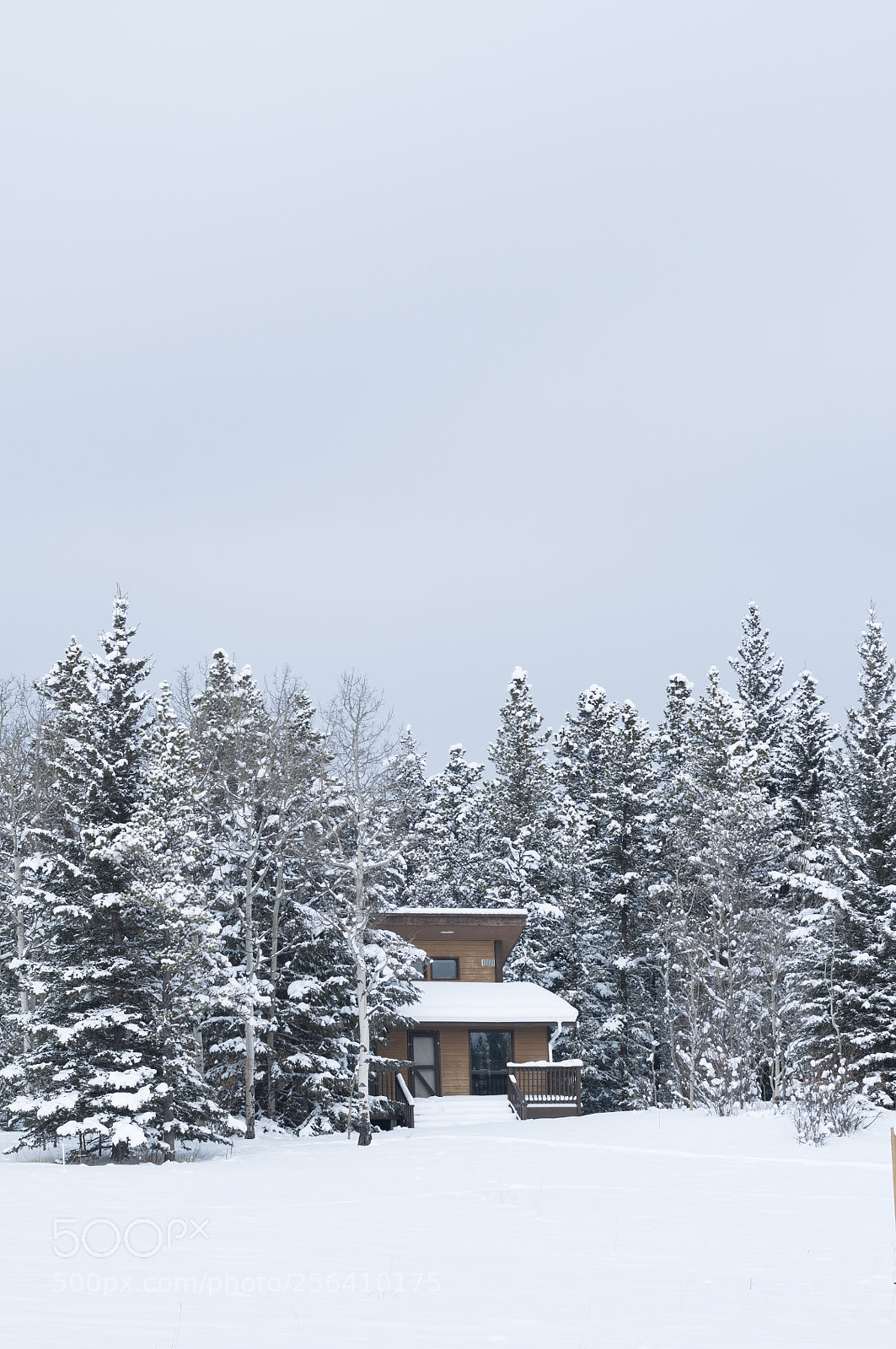 Nikon D300 sample photo. House in the woods photography