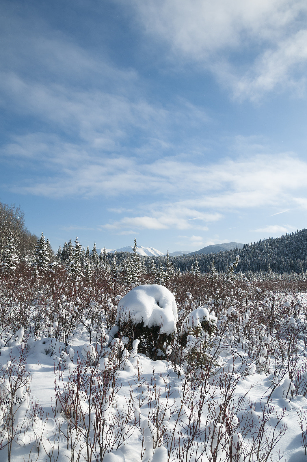 Nikon D300 sample photo. Snowy field photography