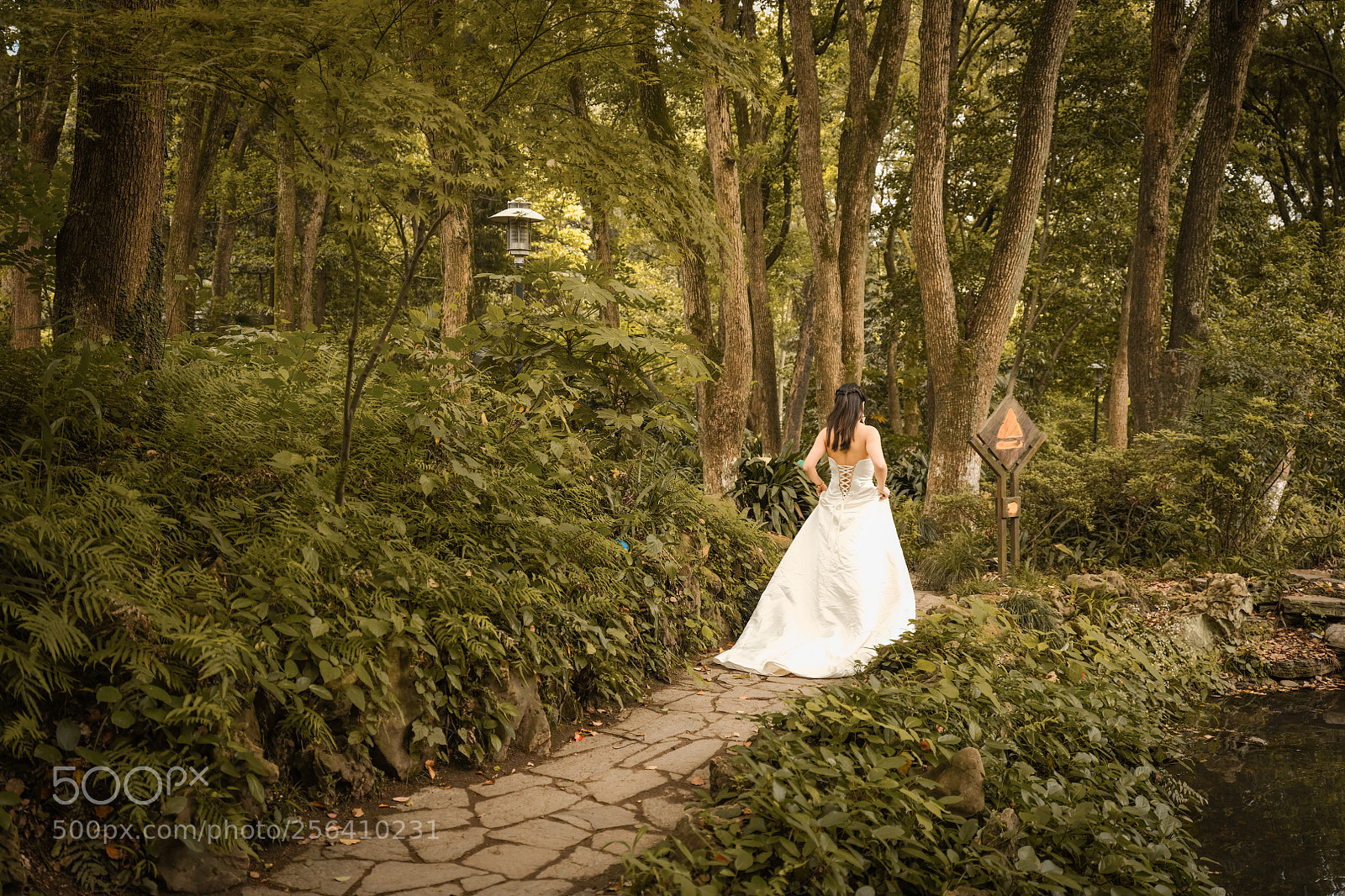 Fujifilm GFX 50S sample photo. Untitled photography