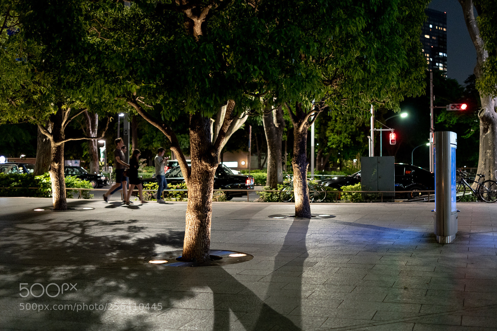 Sony a7 III sample photo. Edit photography