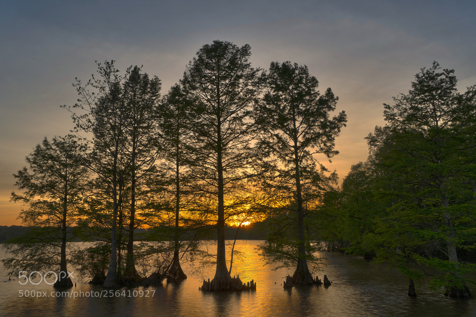 Sony a7R III sample photo. Sunset at stumpy lake photography