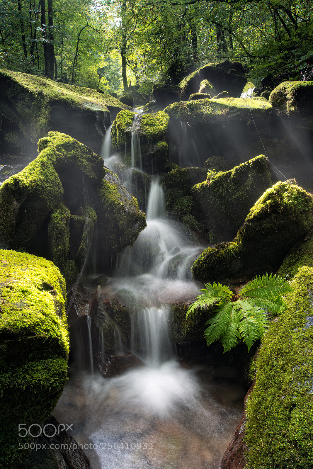 Nikon D800E sample photo. A small secret place photography