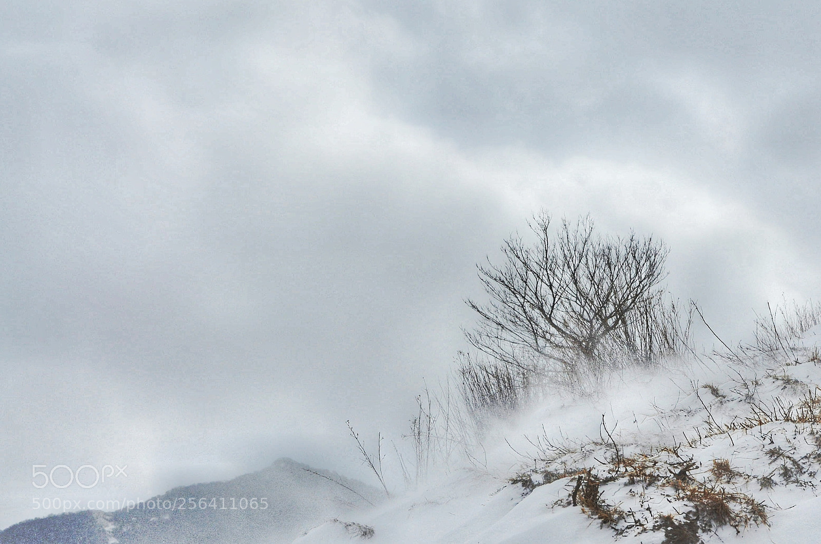 Nikon D90 sample photo. Standing in storm photography