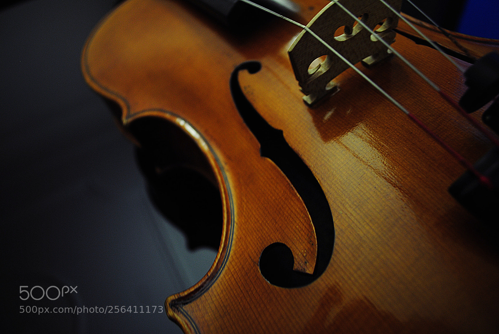 Nikon D3000 sample photo. Aguilar photography