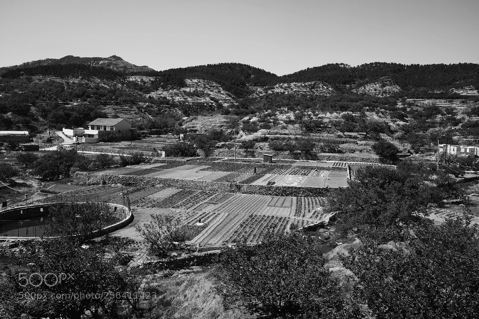Fujifilm X70 sample photo. Title photography