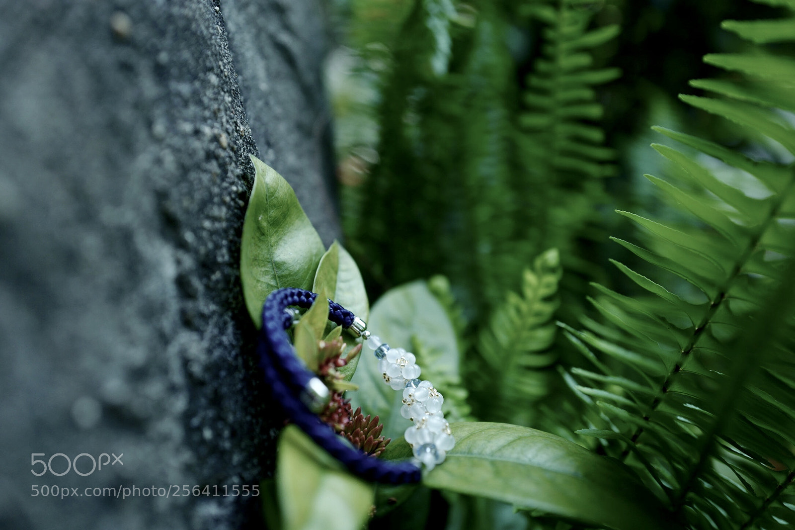Leica Q (Typ 116) sample photo. Wristband in green photography