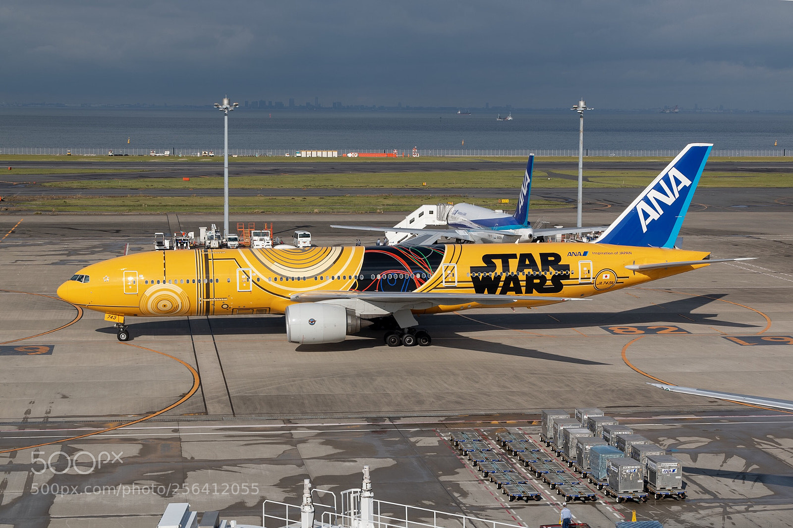 Canon EOS 70D sample photo. C-3po airplane photography