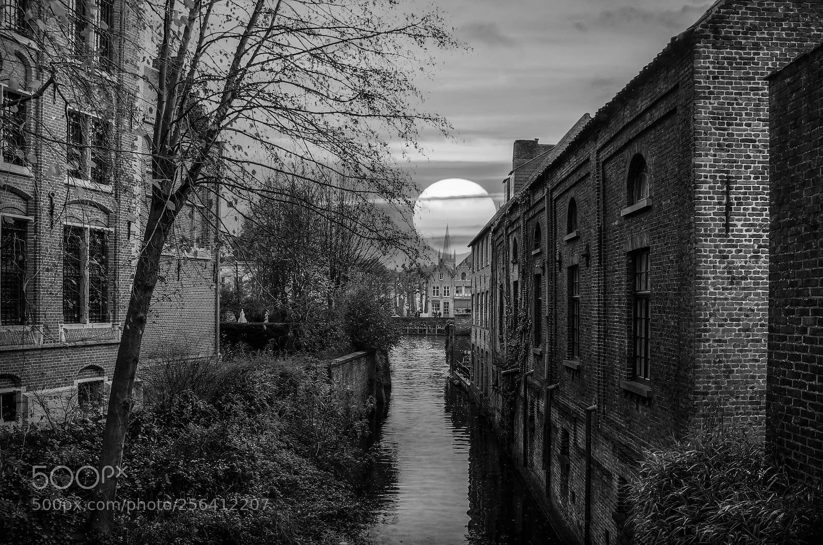 Canon EOS 550D (EOS Rebel T2i / EOS Kiss X4) sample photo. Bruges city and sunset photography