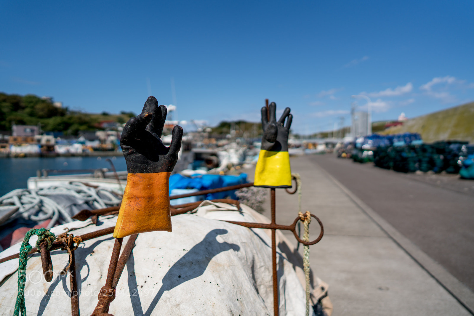 Sony a7R II sample photo. Edit photography