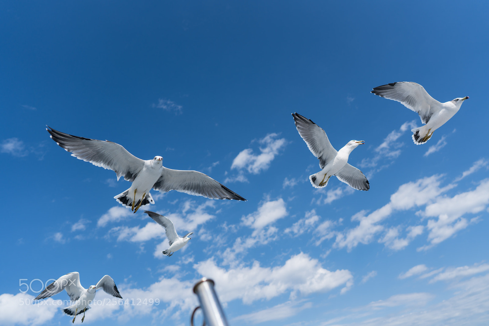 Sony a7R II sample photo. Edit photography