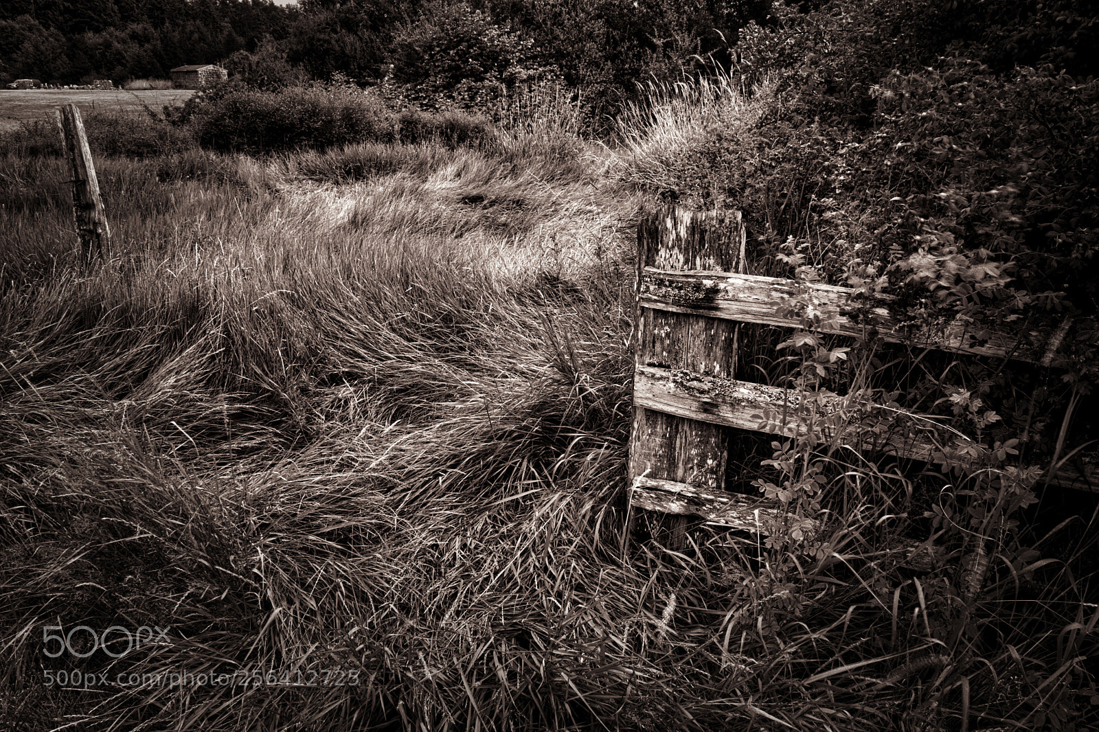 Canon EOS 5D Mark II sample photo. San juan island farm photography