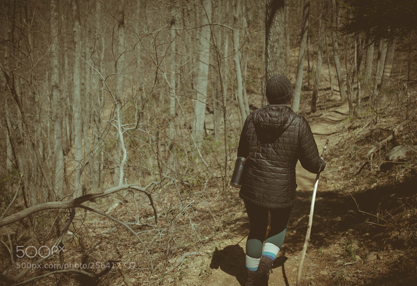 Fujifilm X-Pro2 sample photo. Into the woods we photography