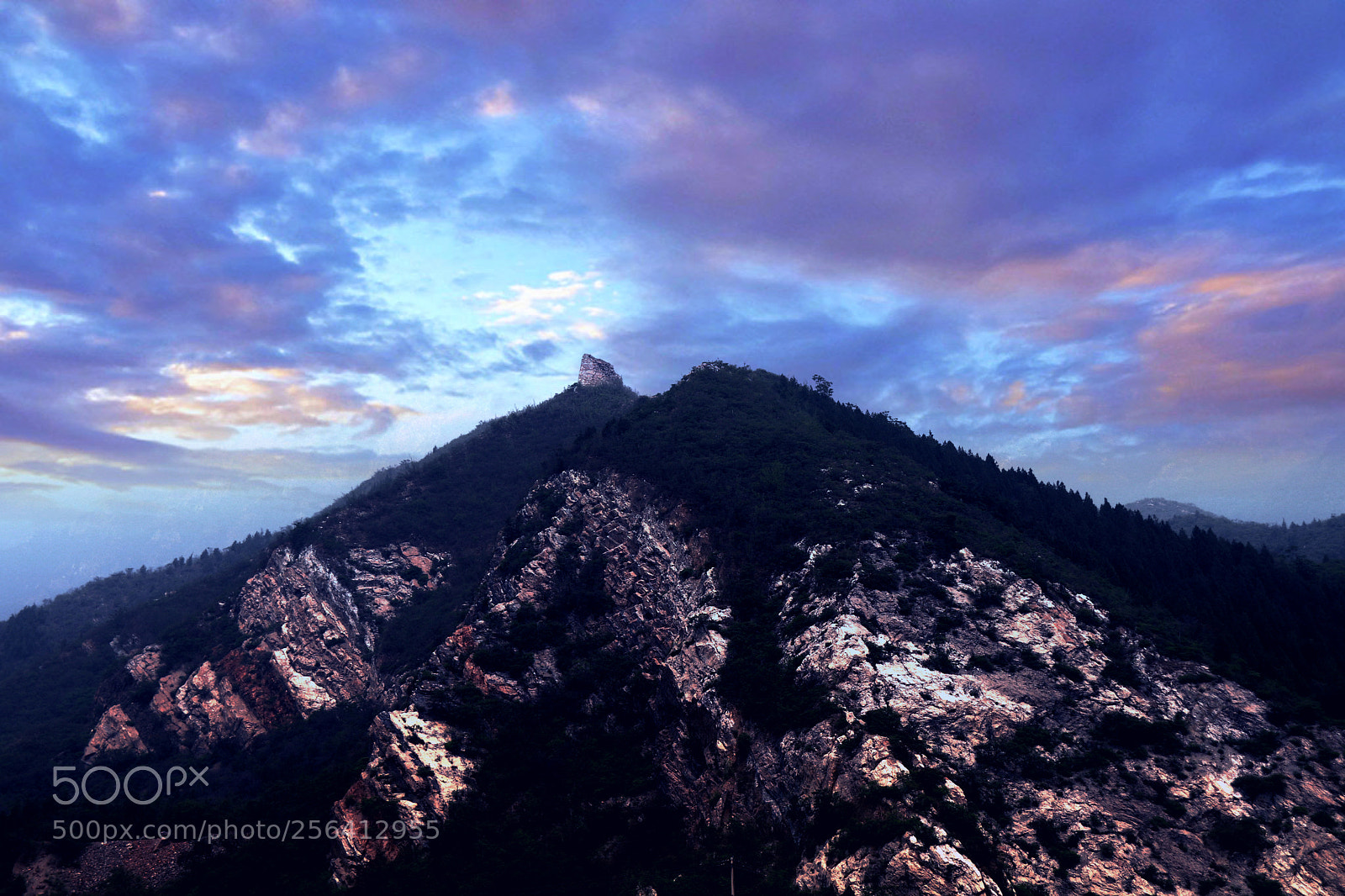 Canon EOS 77D (EOS 9000D / EOS 770D) sample photo. Untitled photography