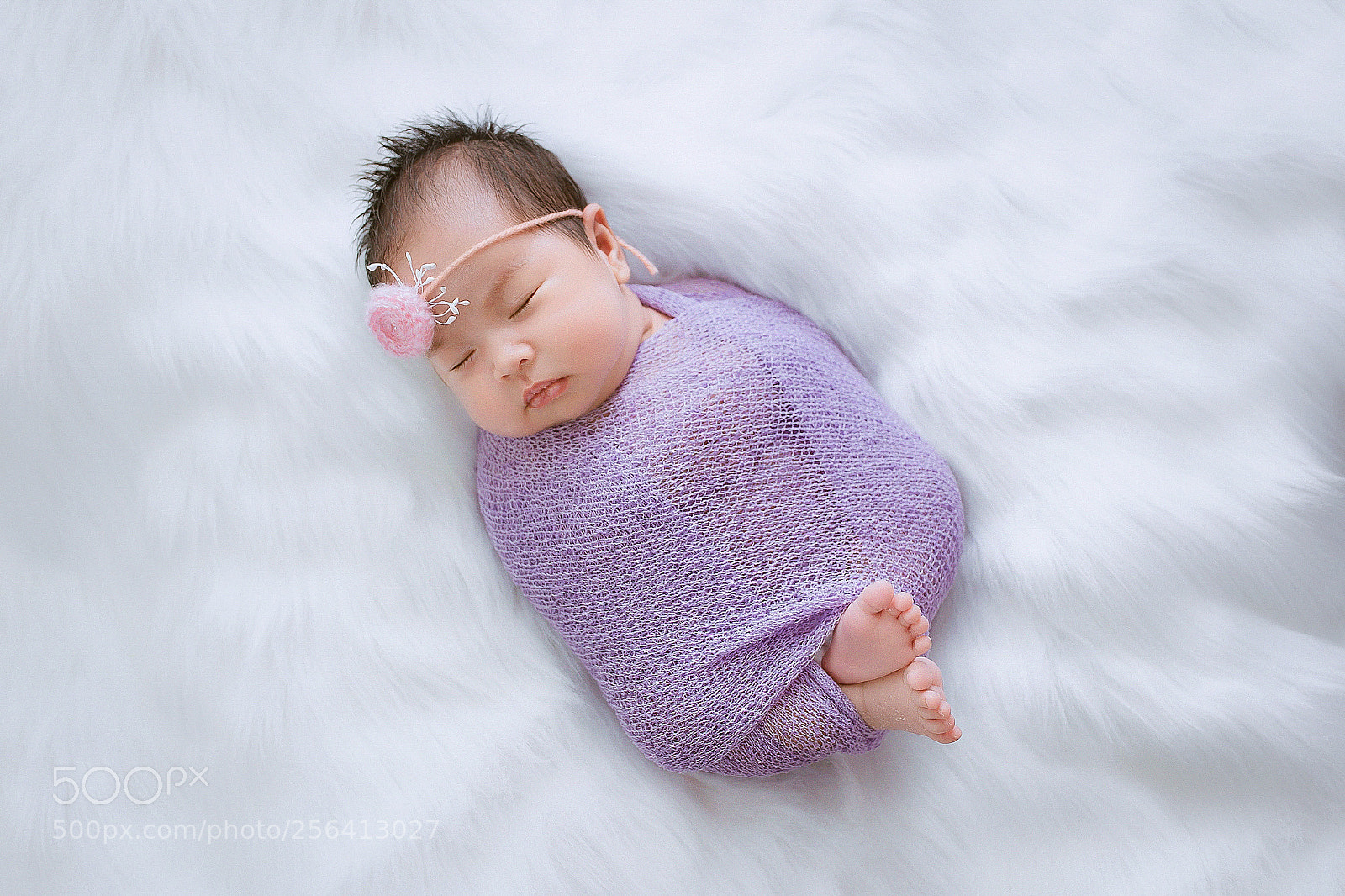 Canon EOS 6D sample photo. _mg_2580-2.jpg photography