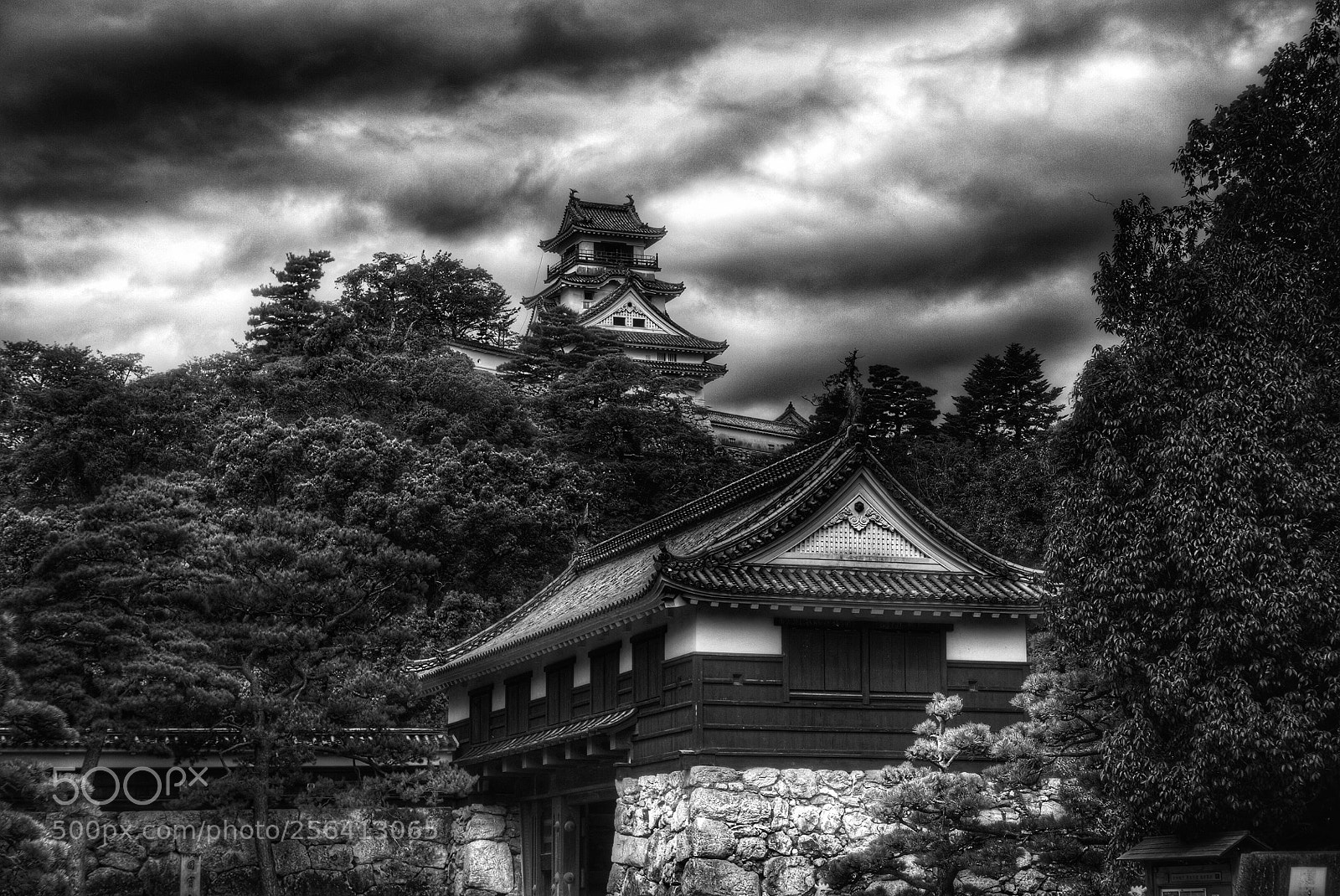 Panasonic Lumix DMC-LX100 sample photo. Kochi castle photography