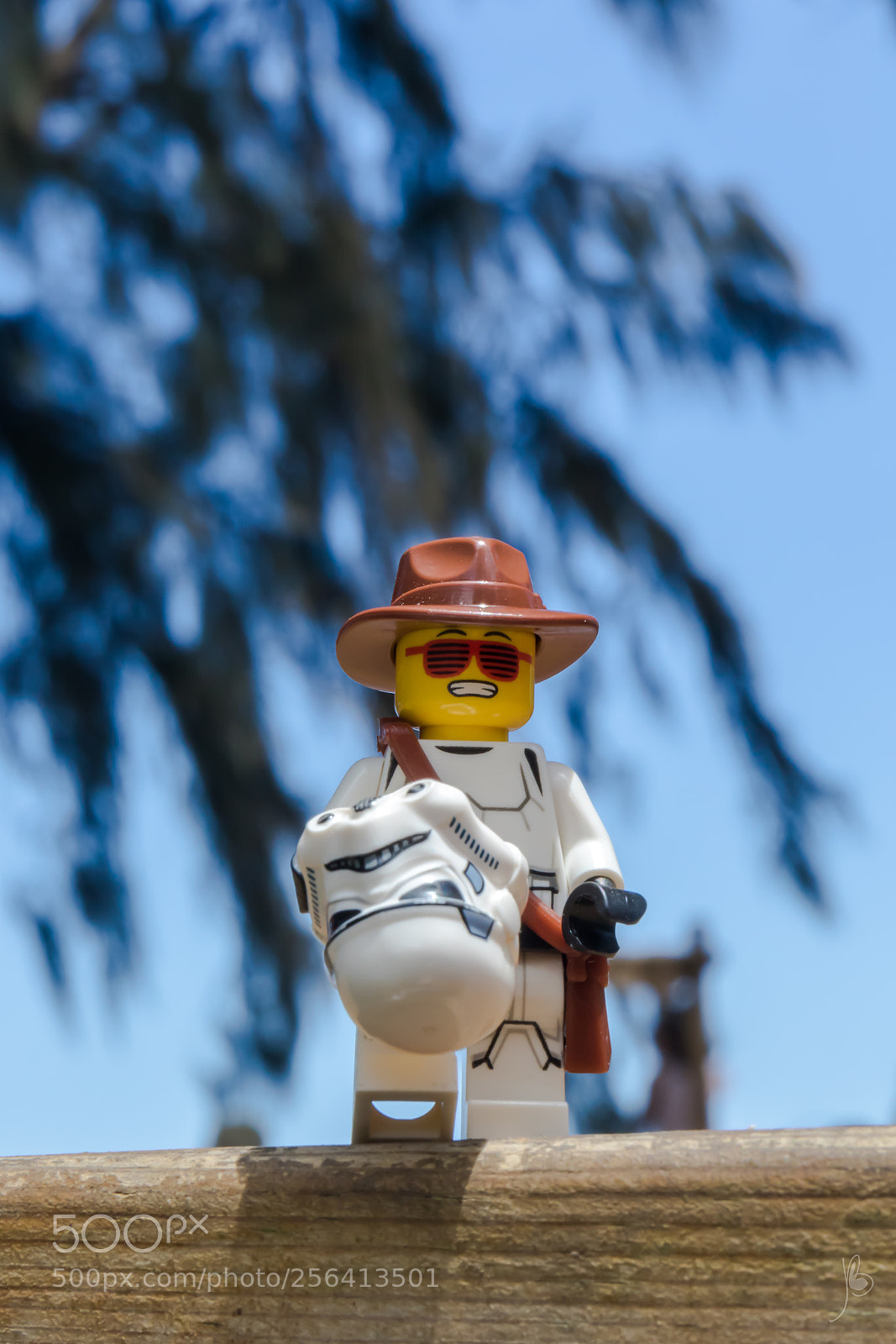 Canon EOS 7D Mark II sample photo. Enjoying the sun photography
