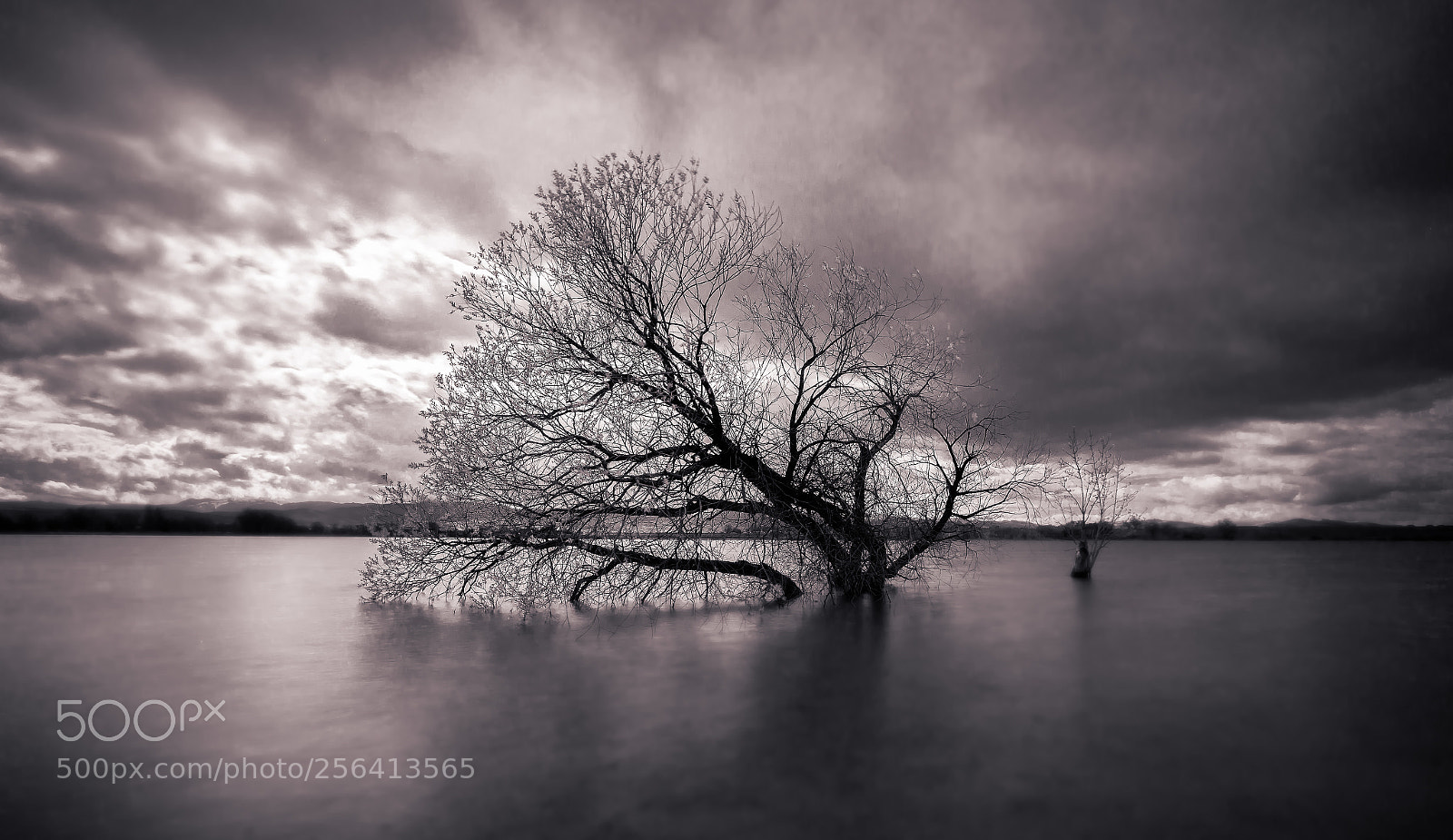 Canon EOS 6D sample photo. Weathering the storm photography