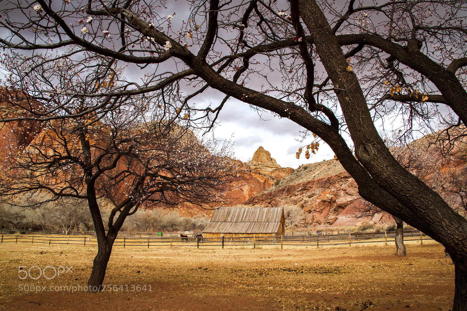 Canon EOS 7D sample photo. Barn at the capital photography