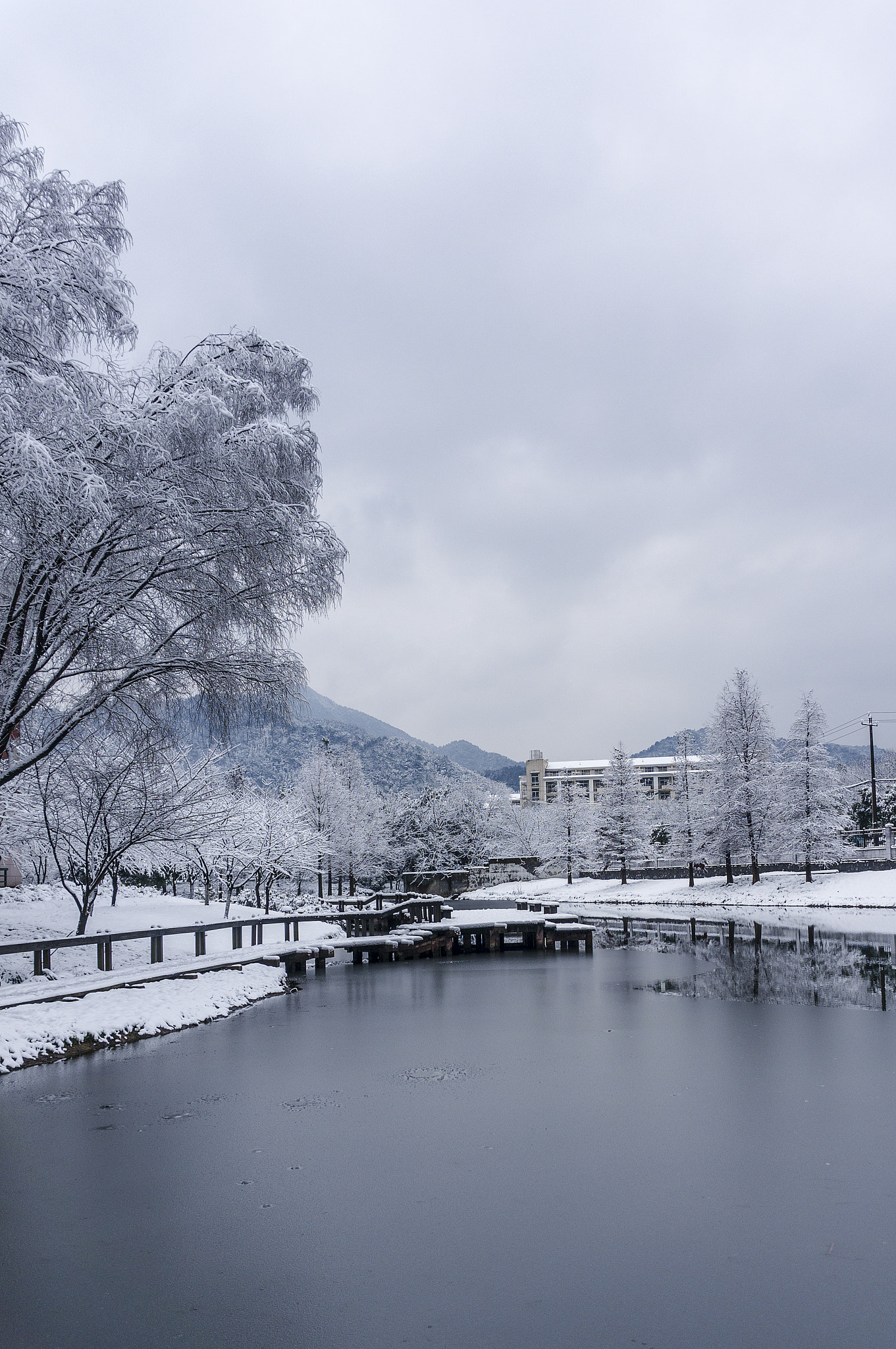 Sony Alpha NEX-5T sample photo. First snow in zjut(2018) photography