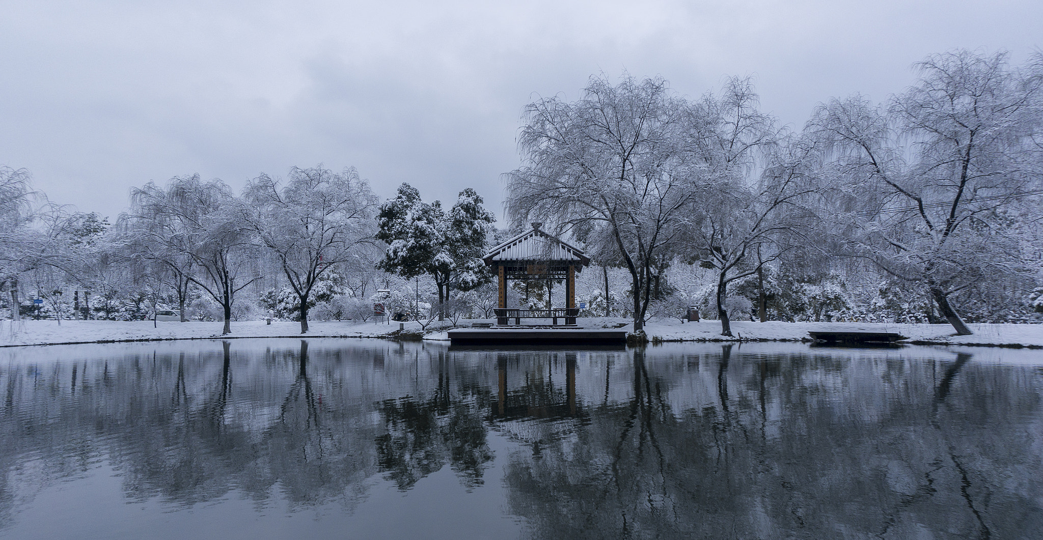 Sony Alpha NEX-5T sample photo. First snow in zjut(2018) photography