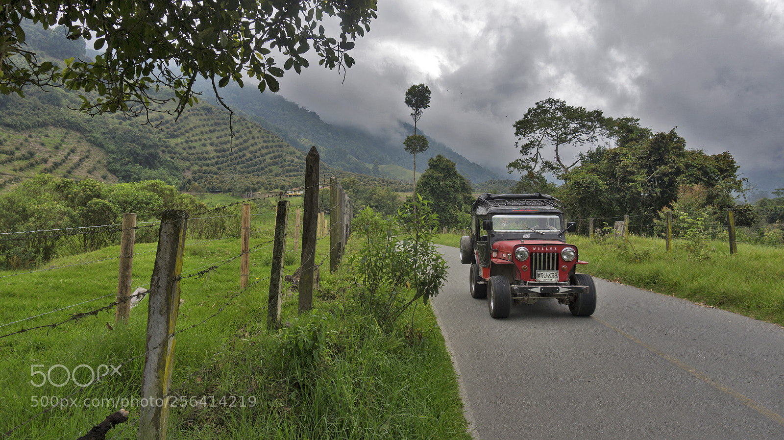 Sony Alpha a5000 (ILCE 5000) sample photo. Valle del cocora, colombia photography