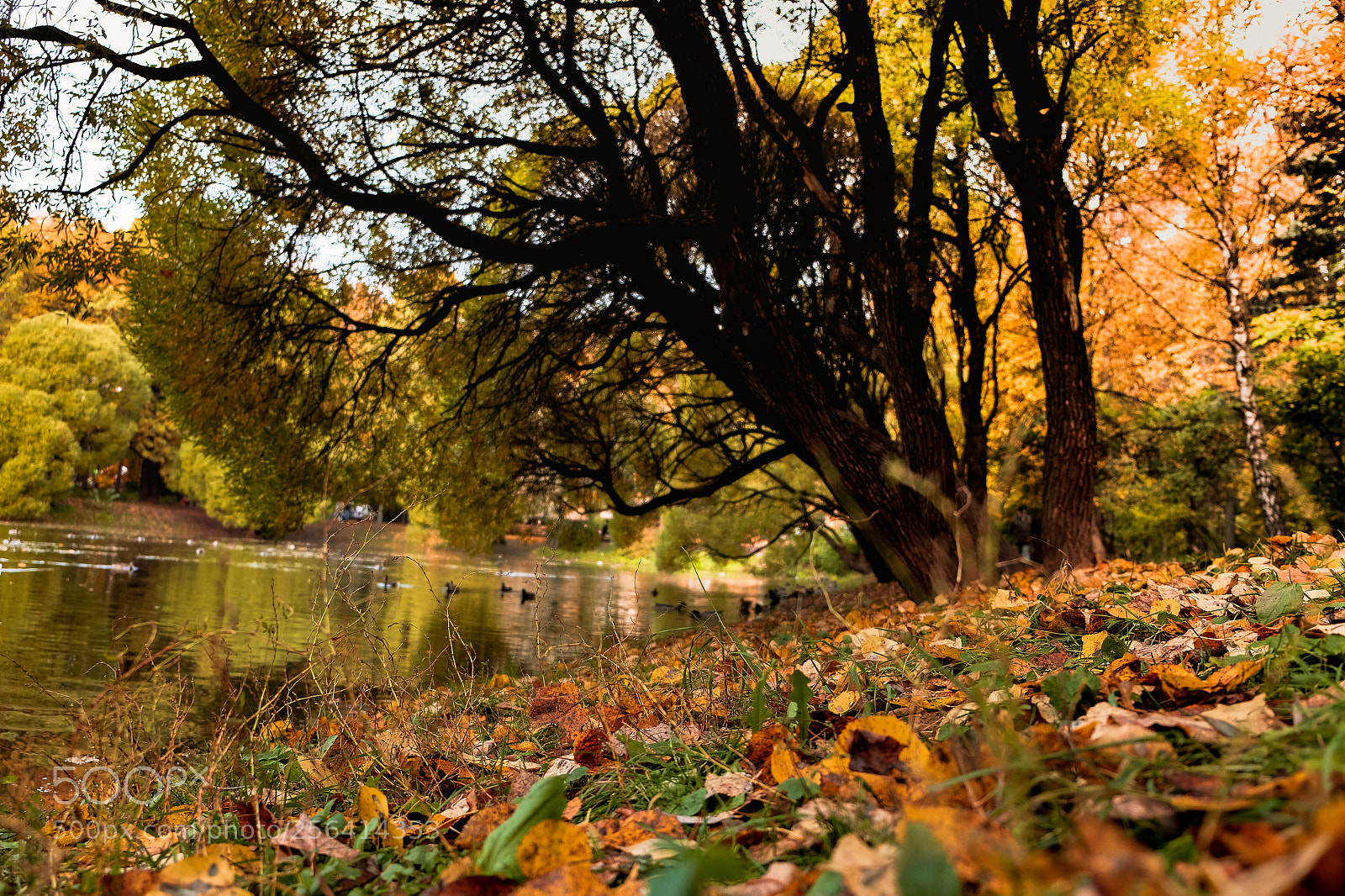 Fujifilm X-E2 sample photo. Tyjtuig photography
